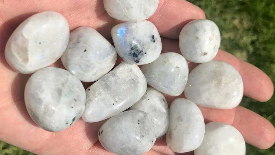 Tumbled Moonstone crystals