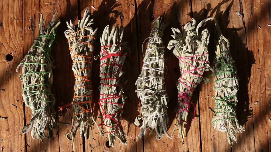 Sage bundles